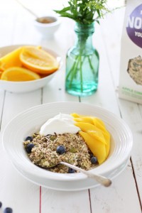 Norridge Grain Free Cereal ~