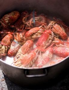 Crayfish ~ The Luminous Kitchen