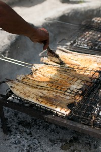 theluminouskitchen.com