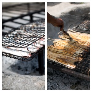 Fish on the bbq