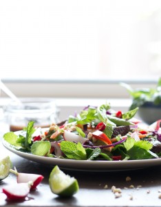 Thai Beef Salad with Tangy Tamarind Dressing