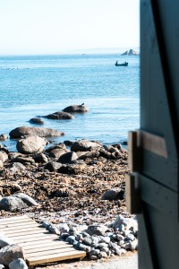 By The Sea || The Luminous Kitchen