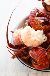 By The Sea || The Luminous Kitchen