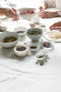 The Luminous Kitchen