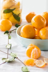 The Luminous Kitchen Food Photography Workshop Gold Coast 2016