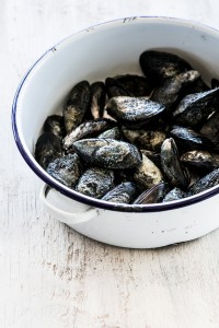 Black Atlantic Mussels in White Wine